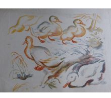 Reeve, Russell Sidney: Ducks