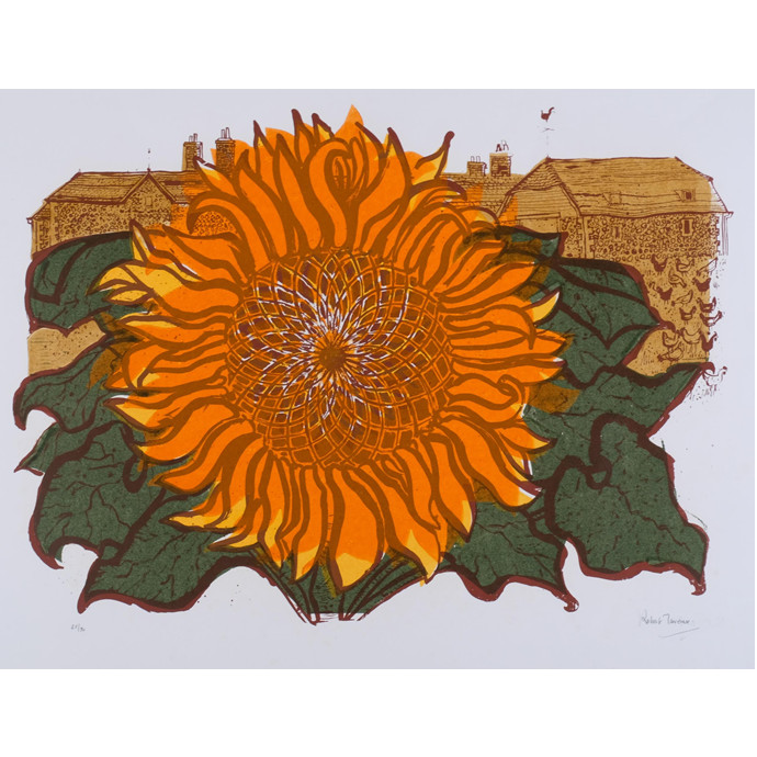 Tavener, Robert: Sunflowers and Barns